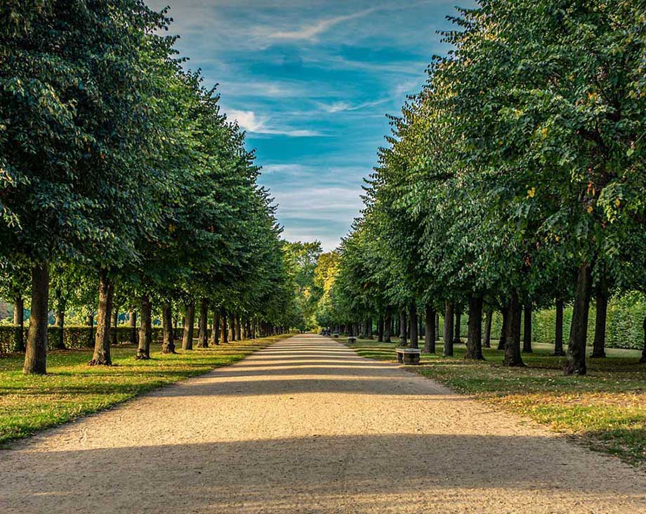 Top 10 Parks In Market Harborough image